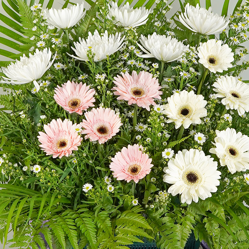 flower_stand_condolence Blessed Soul Condolence / Funeral Flowers