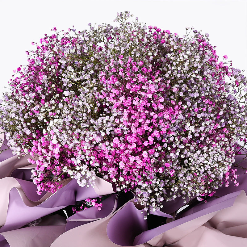 flower_stand_opening Dazzle Opening Flower Stand