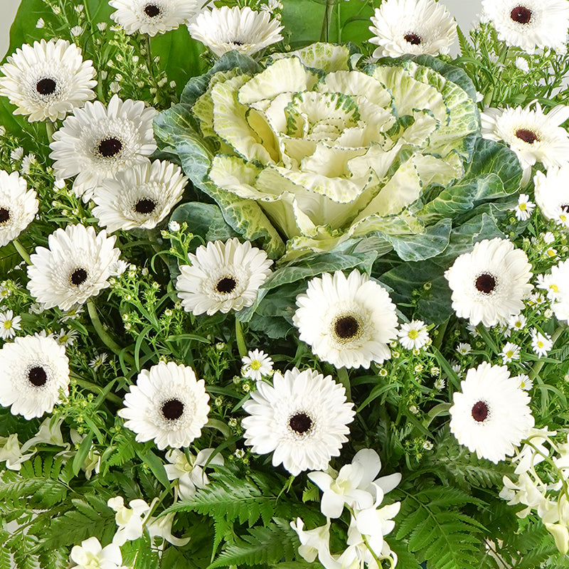 flower_stand_condolence Loving Reminisce Condolence / Funeral Flowers