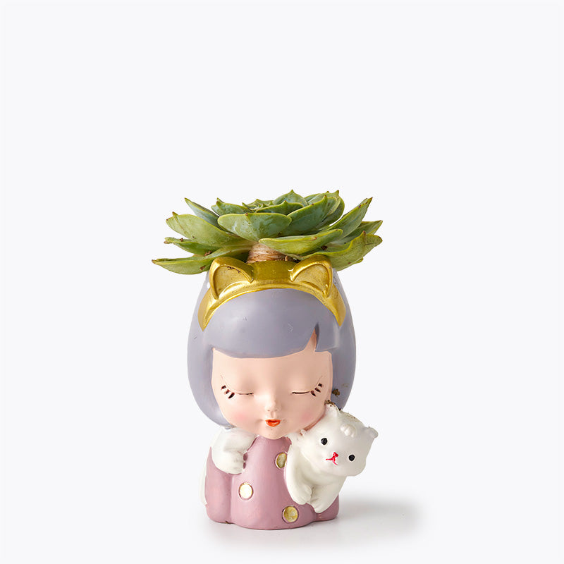 plants_potted Miss Succulent