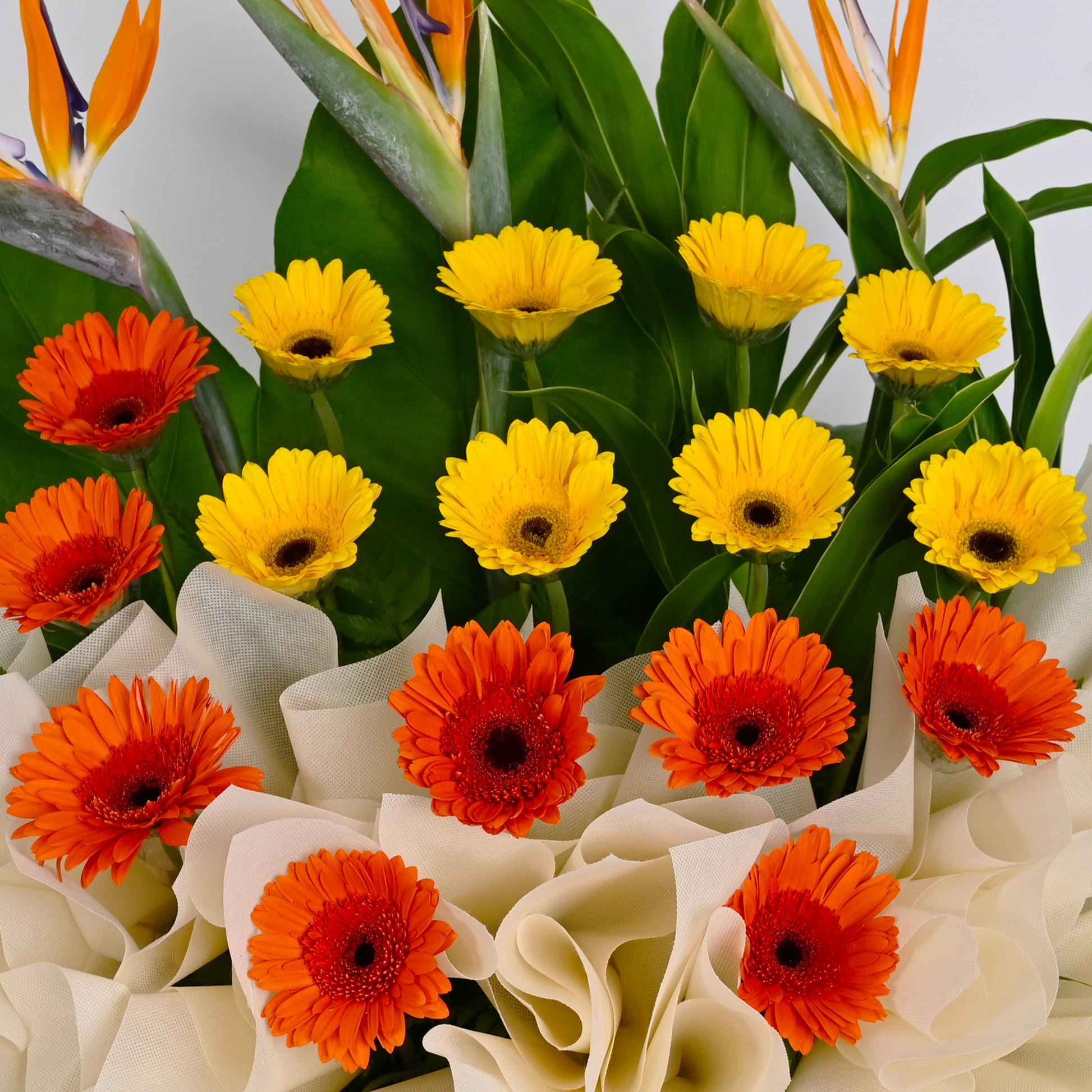 flower_stand_opening Summer Style Opening Flower Stand