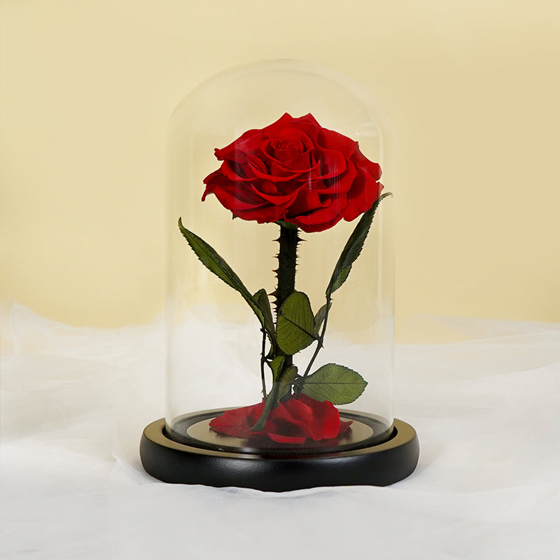 flowers_box A Single Kiss
