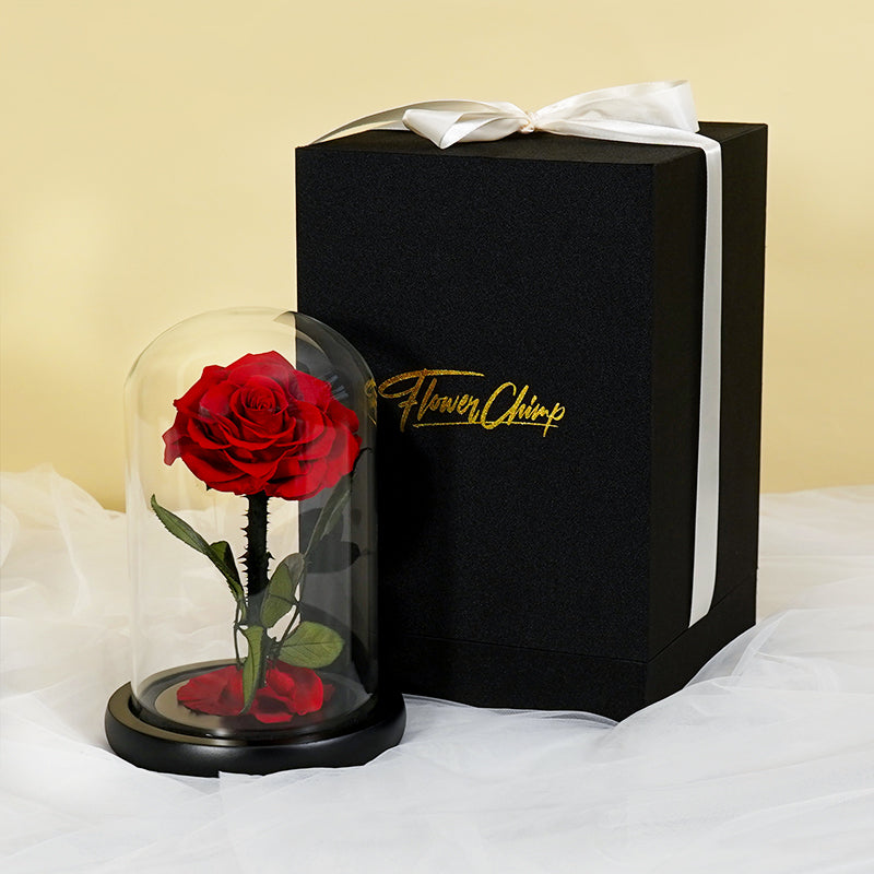 flowers_box A Single Kiss