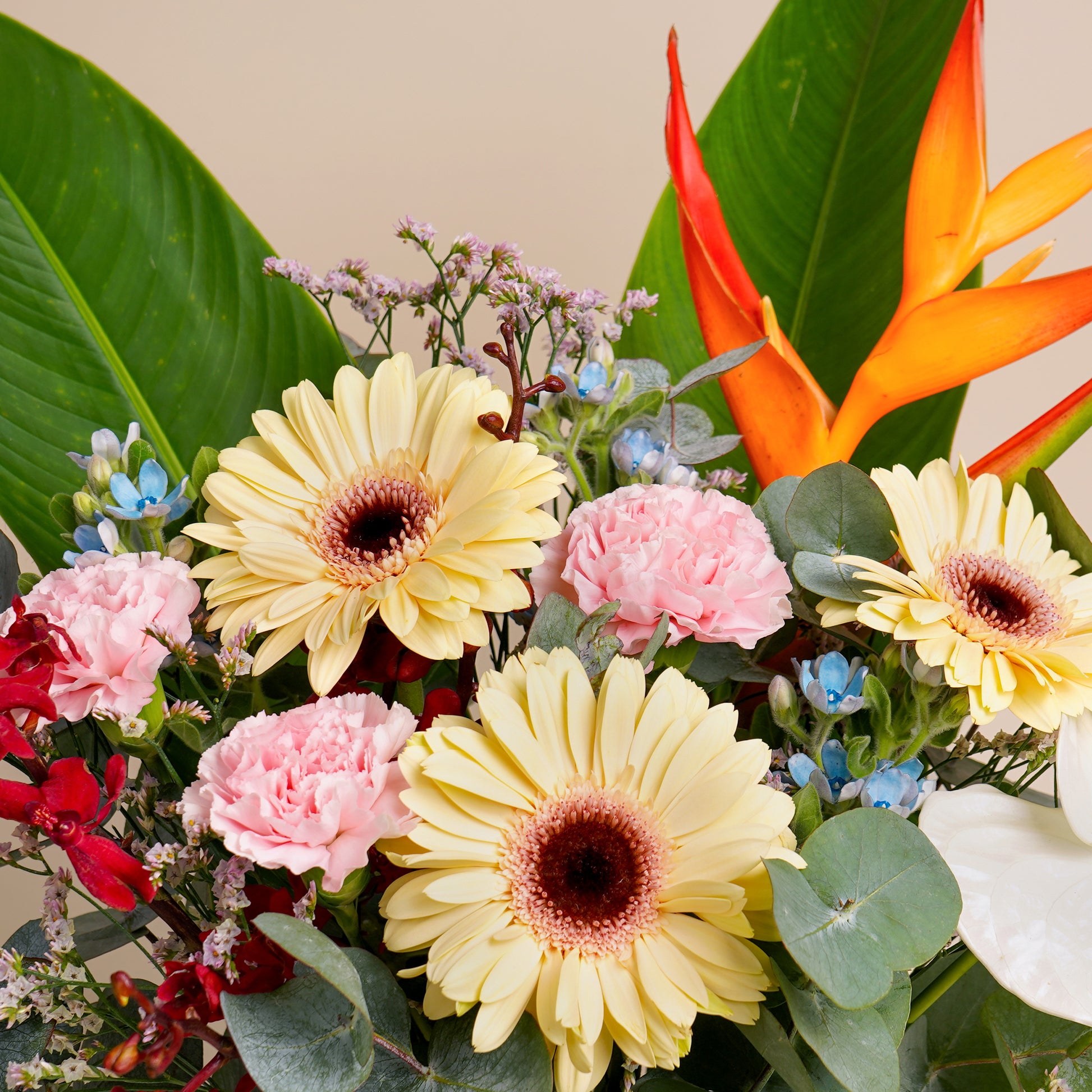 flowers_box Autumn Radiance