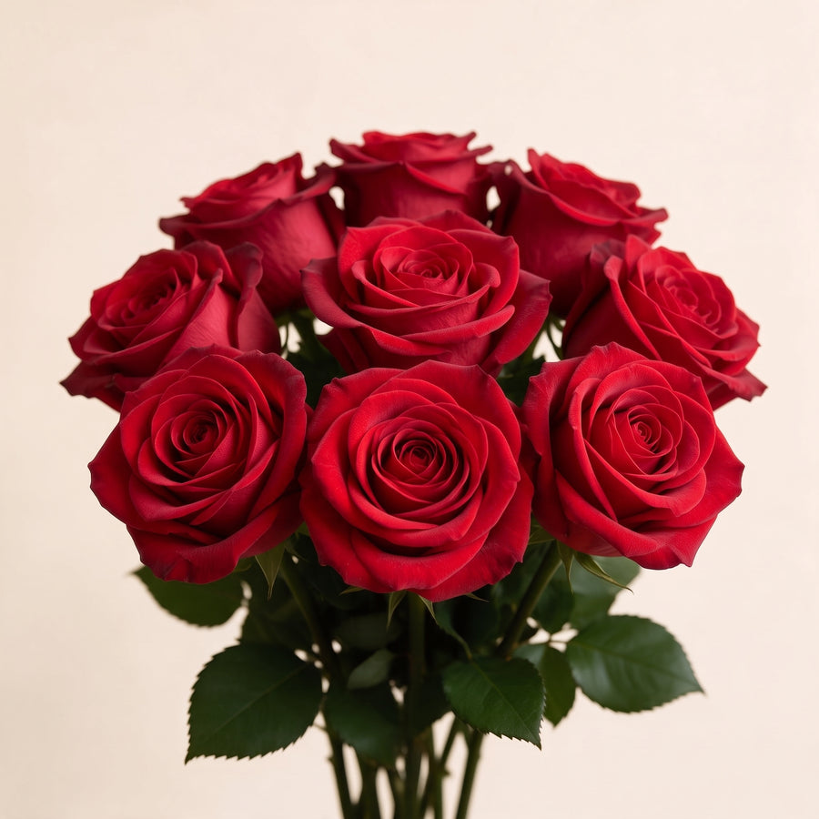 Classic Red Roses