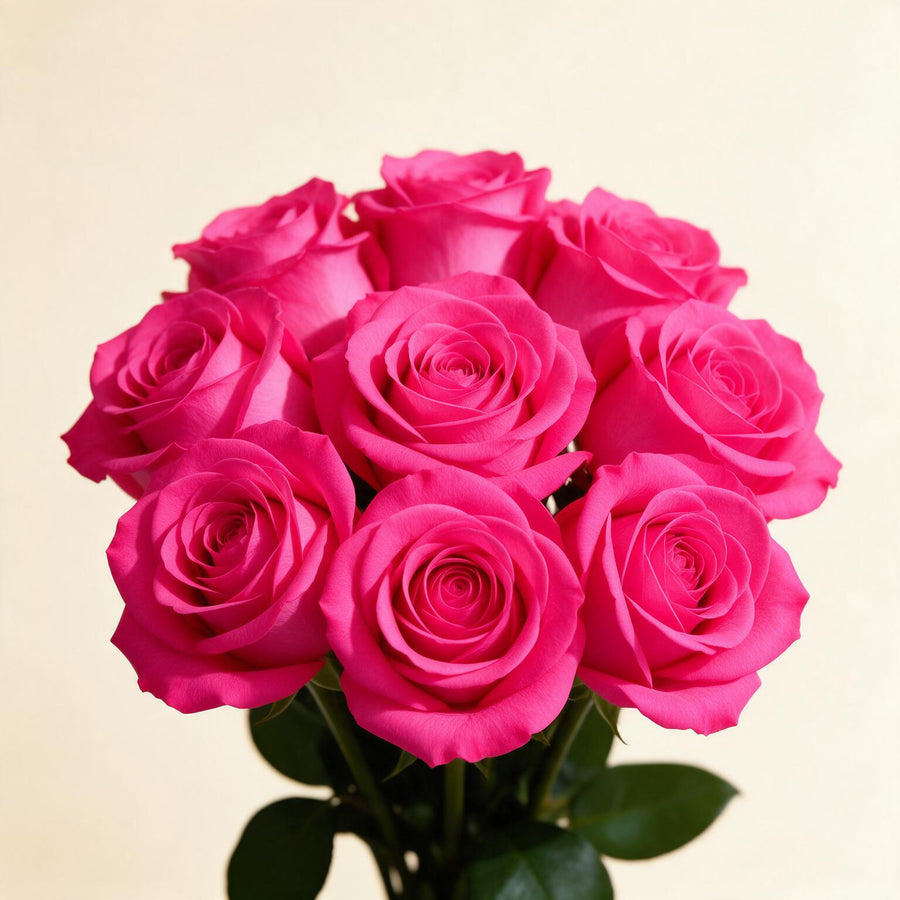 Hot Pink Roses
