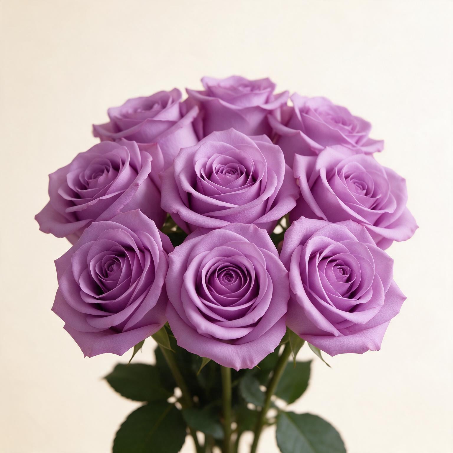 byob_roses Lavender Purple