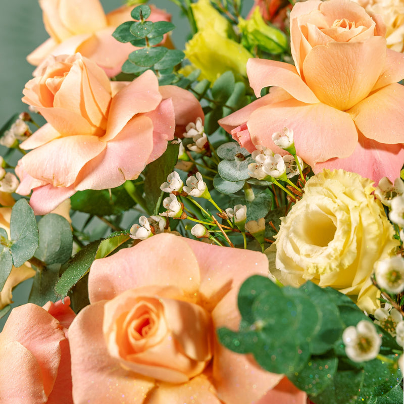 flowers_box_vbox My Universe Champagne Pink Roses