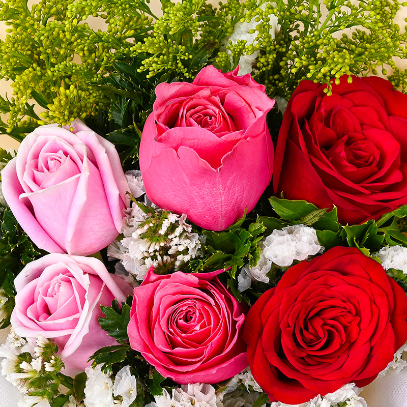 bundles_graduation Rosy Felicitations Graduation Set