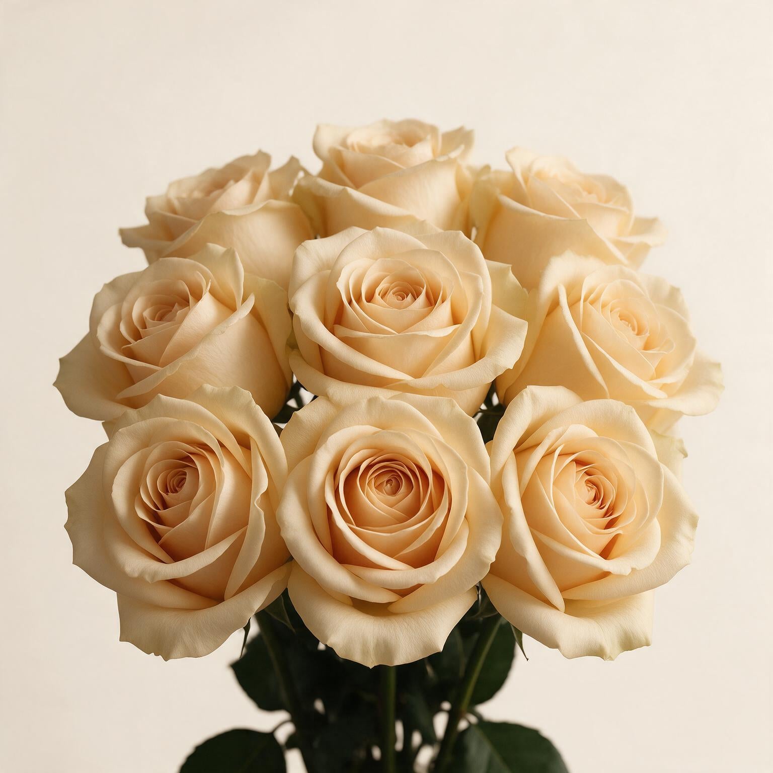 byob_roses Soft Champagne