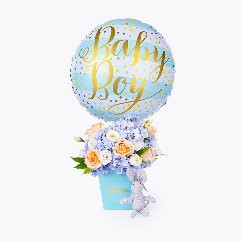 hamper_baby Little Prince Baby Hamper